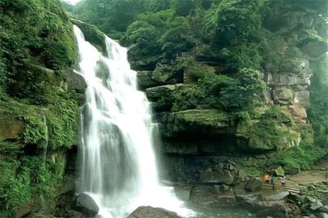 “禁限塑”河南在行动丨什么是可降解塑料?