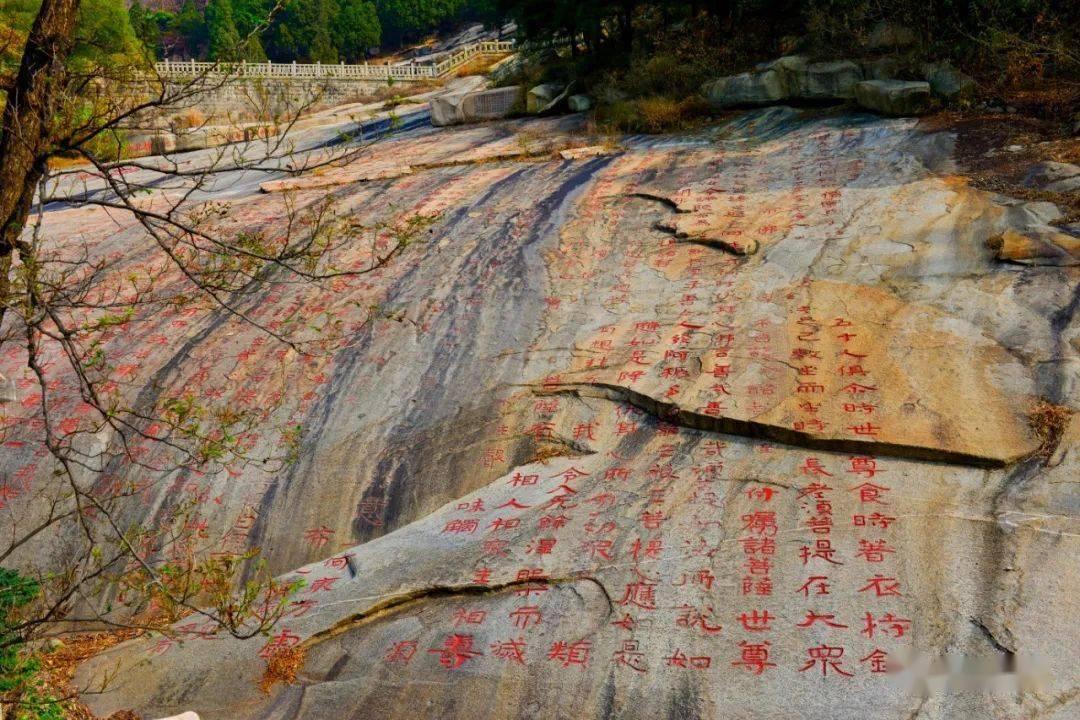 阿提拉：全面战争